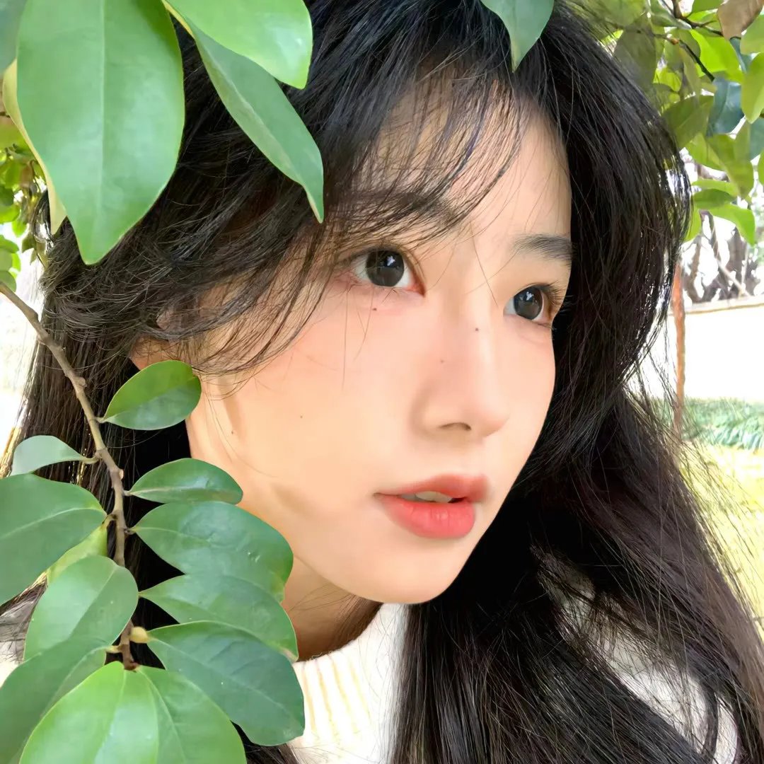 护航父母